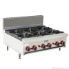 6 burner