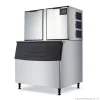 Blizzard Professional Ice Machines