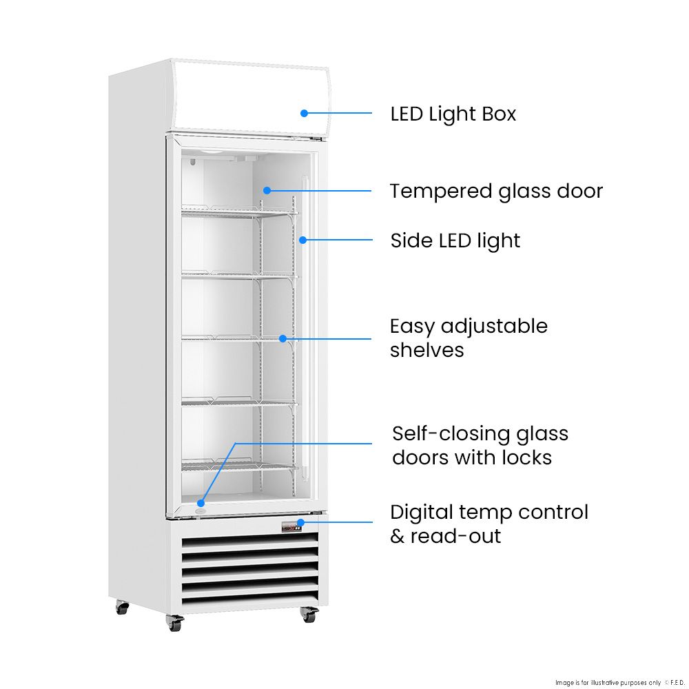 Thermaster Single Glass Door Colourbond Upright Drink Fridge - LG-370P 3 Thermaster Single Glass Door Colourbond Upright Drink Fridge - LG-370P - Image 3