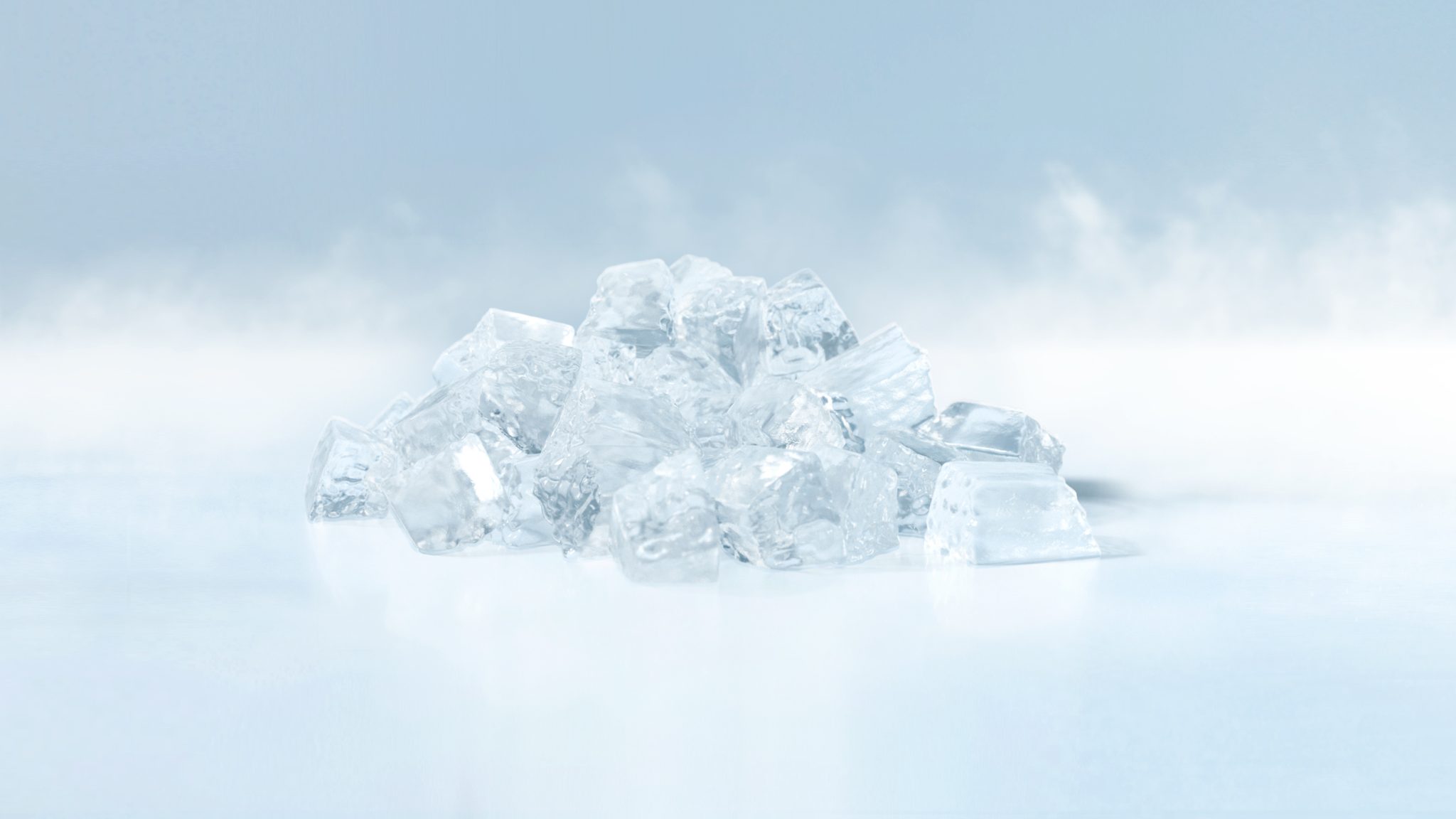 Hoshizaki FM480KEN Nugget Ice Maker Modular Head