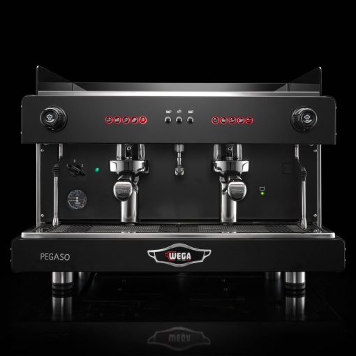 WEGA Pegaso Coffee Machine 2 Group EVD2PG
