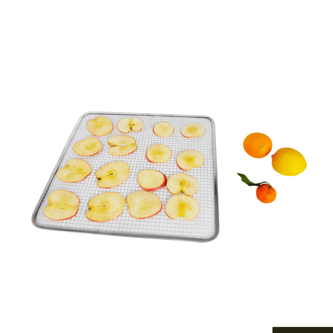 Benchstar Food Dehydrator with 16 trays – FD-16HB 11 Benchstar Food Dehydrator with 16 trays – FD-16HB - Image 11